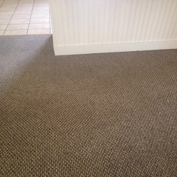 carpet cleaning